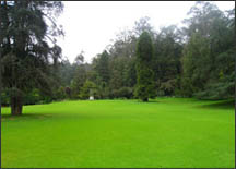 Ooty tour packages